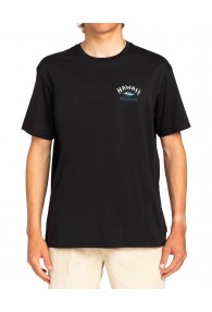 Billabong Arch Dreamy Place - T-Shirt (BLACK)